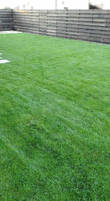 Gazon Rulou Sisteme de Irigare