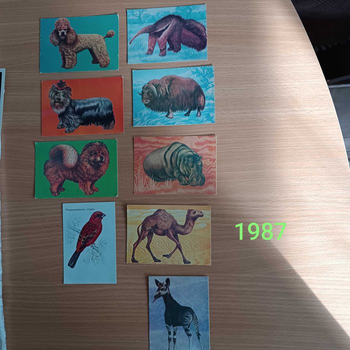 Джобни календарчета