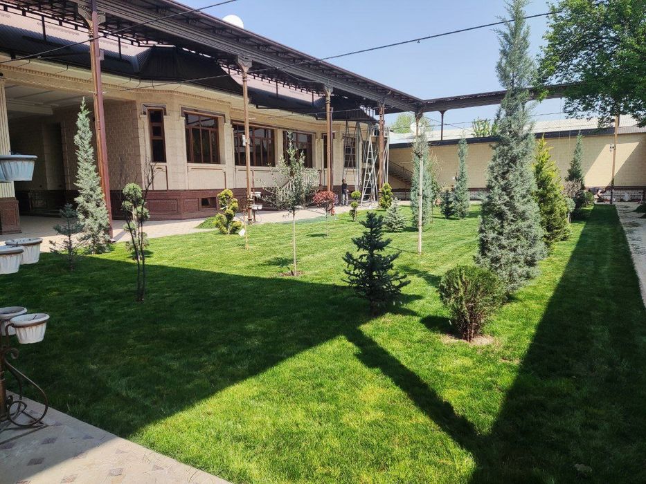 Gazon palif urnatamiz