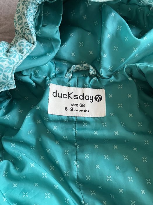 Зимен космонавт ducksday