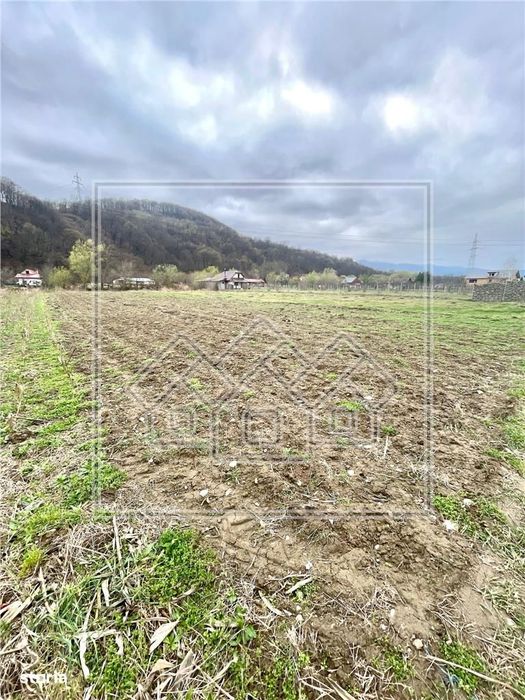 Teren intravilan de vanzare in Talmaciu - 1600 mp