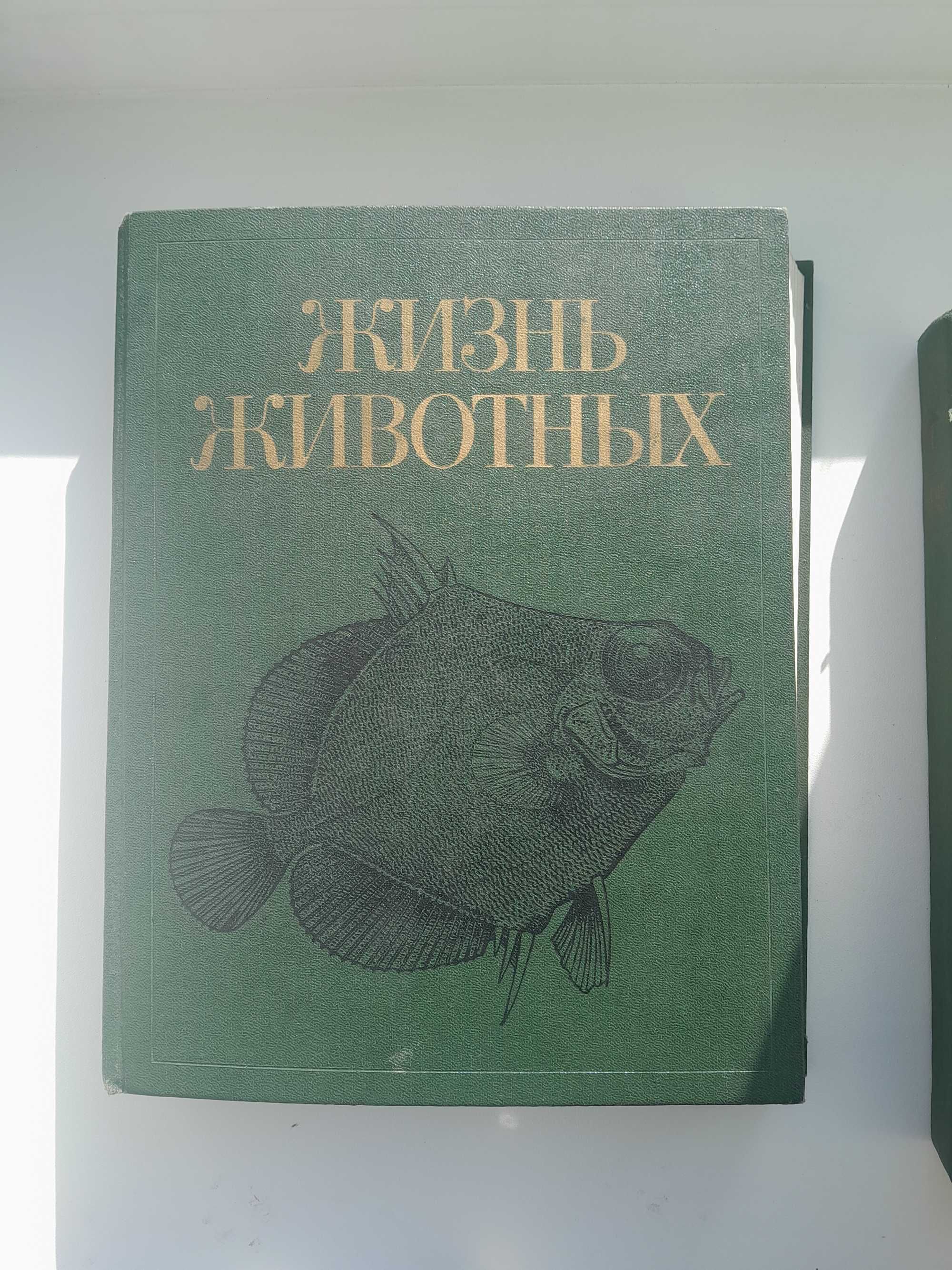 Энциклопедия Жизнь Животных 1,4,5 том
