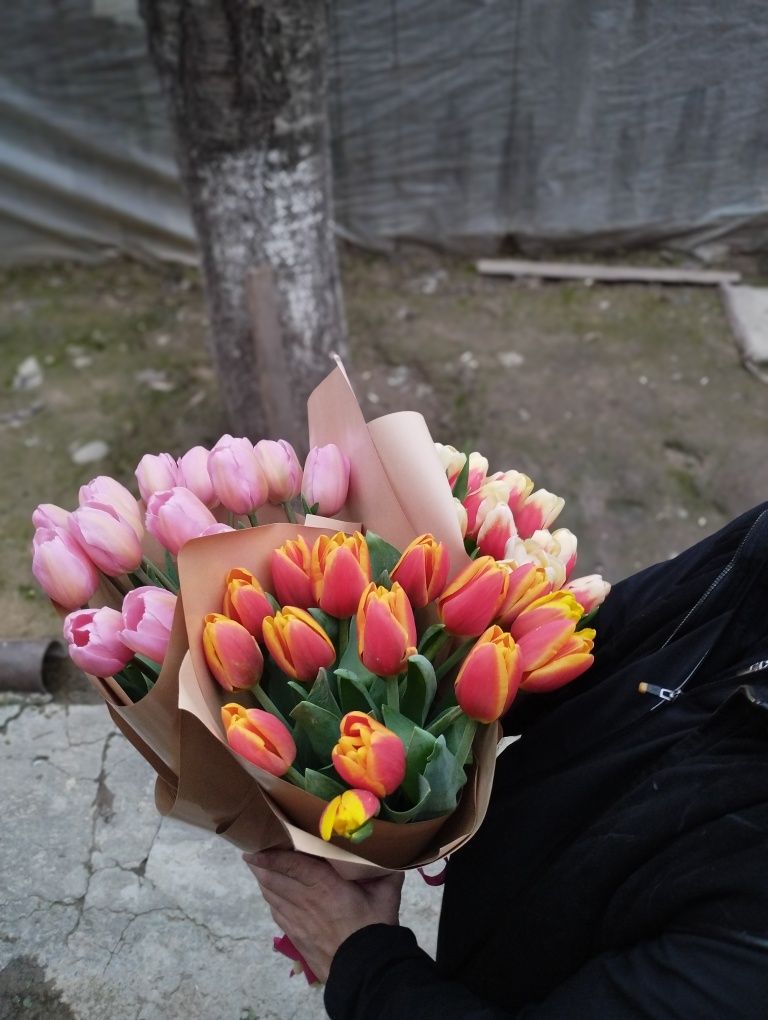 Optim Lola zakaz olamiz