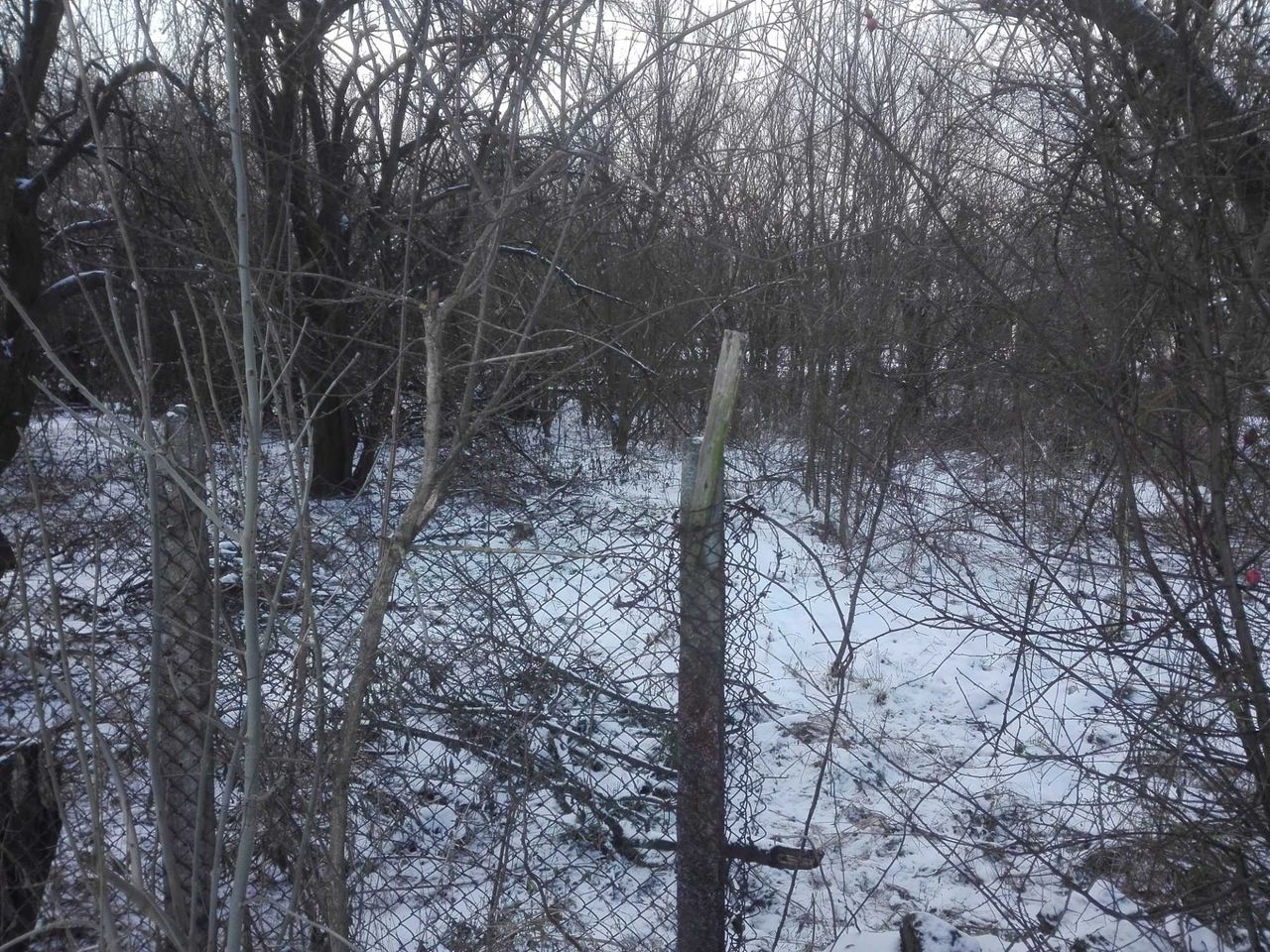 Продава се Парцел в с. Габер, Област София-област - 573 кв.м за 37 €/кв.м - Снимка #6
