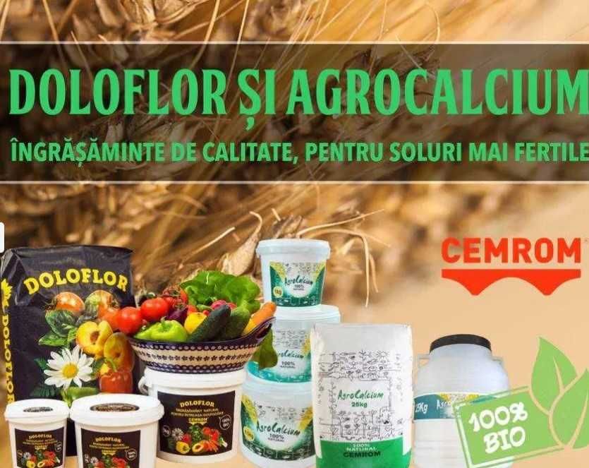 Doloflor - Dolomita