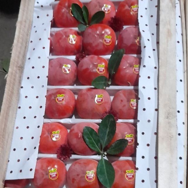 Supper Karalok va Bahmal Hurmo koʻchatlari sotiladi ishonch li yangi s