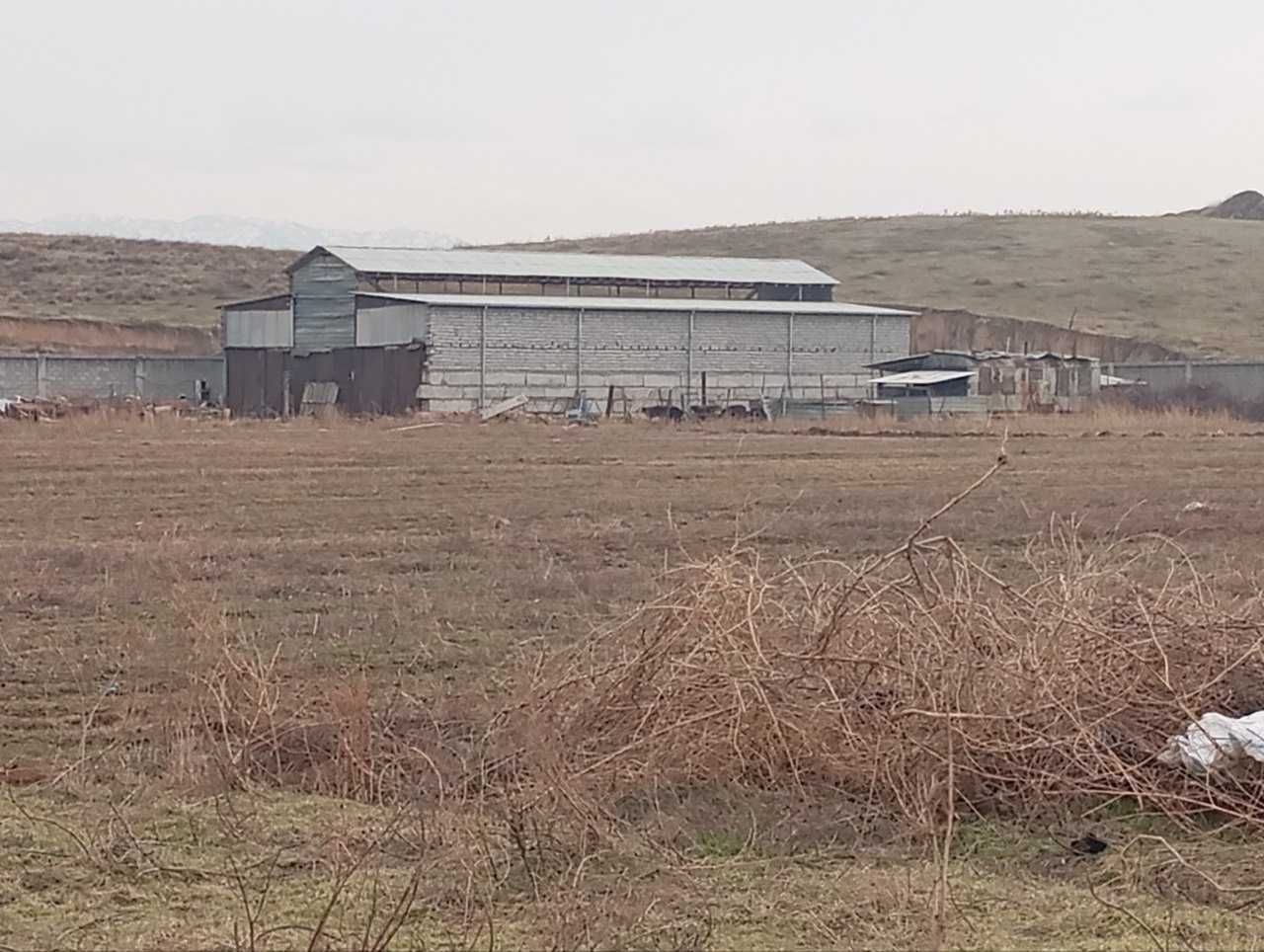 Yuqorichirchiq tumanida Parrandachilik fermasi sotiladi