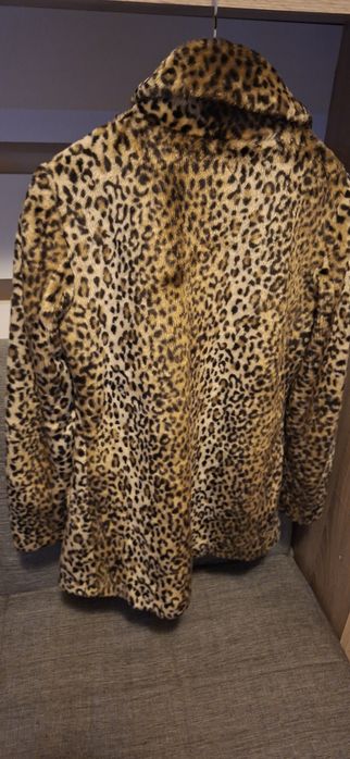 Palton leopard stare 10/10