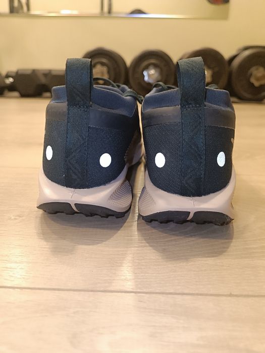 Nike Pegasus Trail 5 Gtx