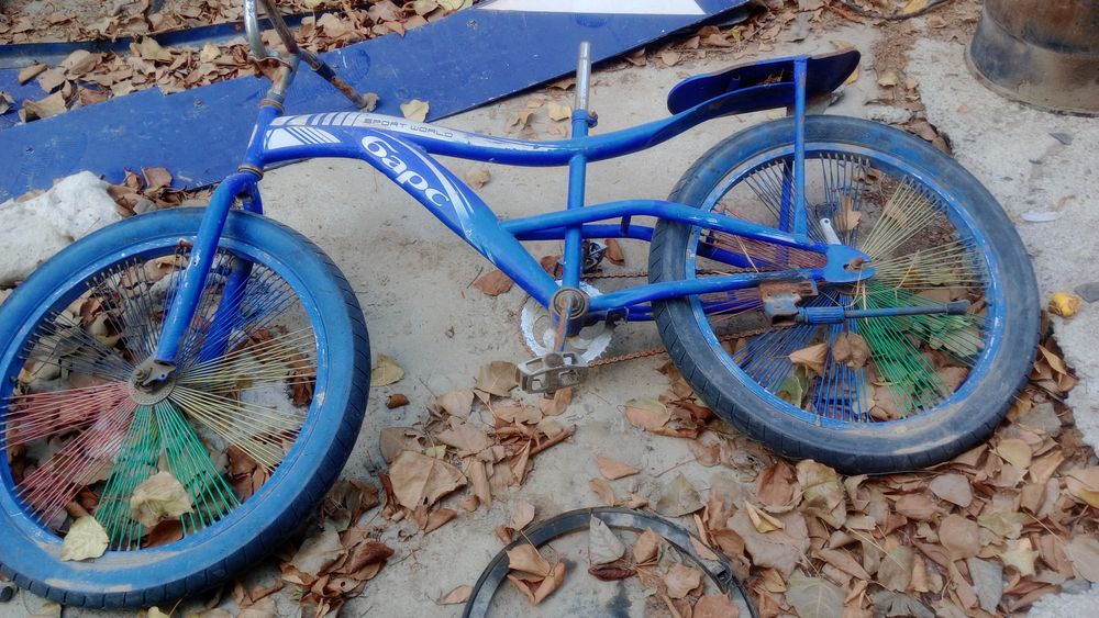 Velosped Bars 20 2024