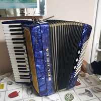 Acordeon Delicia