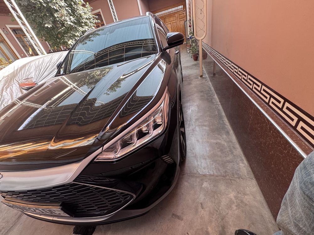 Byd son plus gibrit