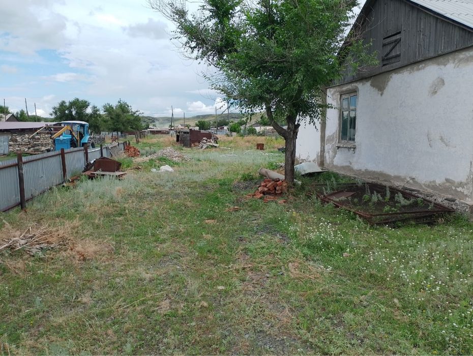 Дом в дереве Алмасай