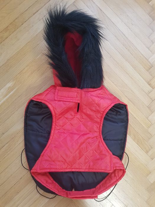 Haine, Hainute pentru catei