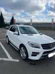 Mercedes-Benz ML 250 D,4MaticAMG,airmatic4x4