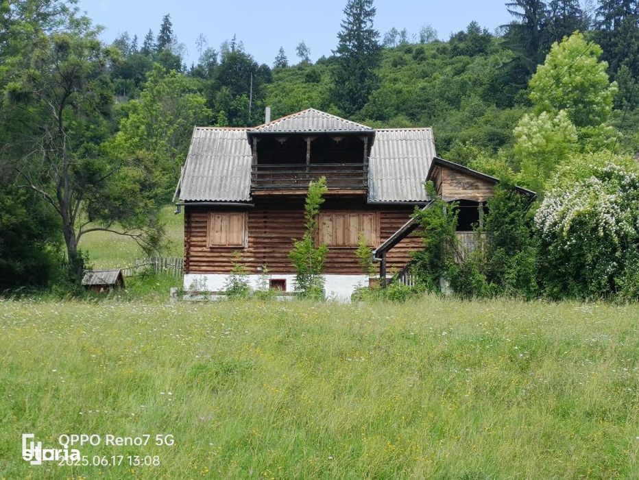 Cabana de vanzare in Lunca Bradului