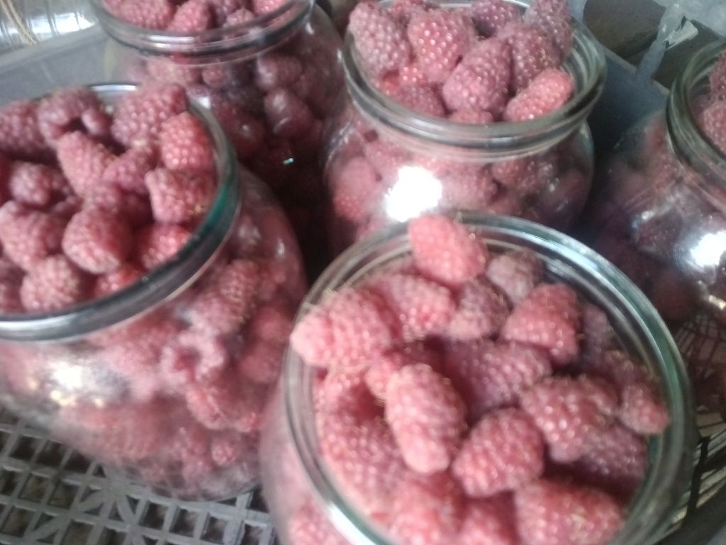 Малина вишня яблоки, солнце, дар.