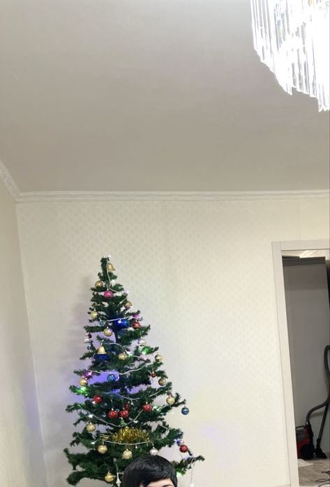 Жаңа жылдық шырша сатылады