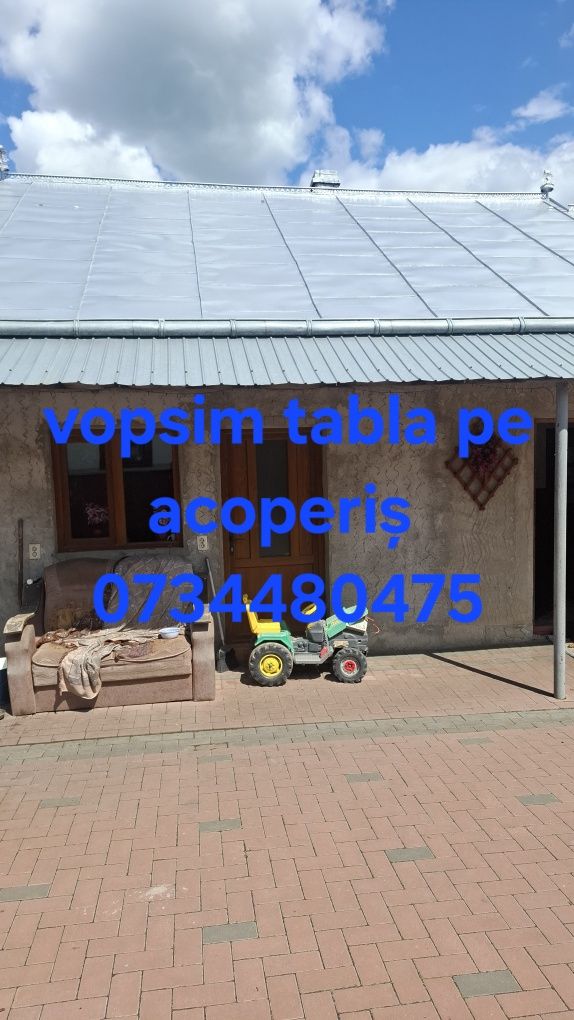 Vopsim tabla pe acoperiș