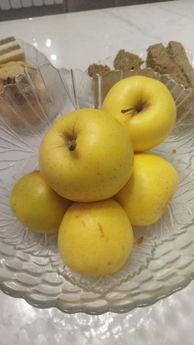 Алма сатамын кг 350 тенге жаркенттин алмасы