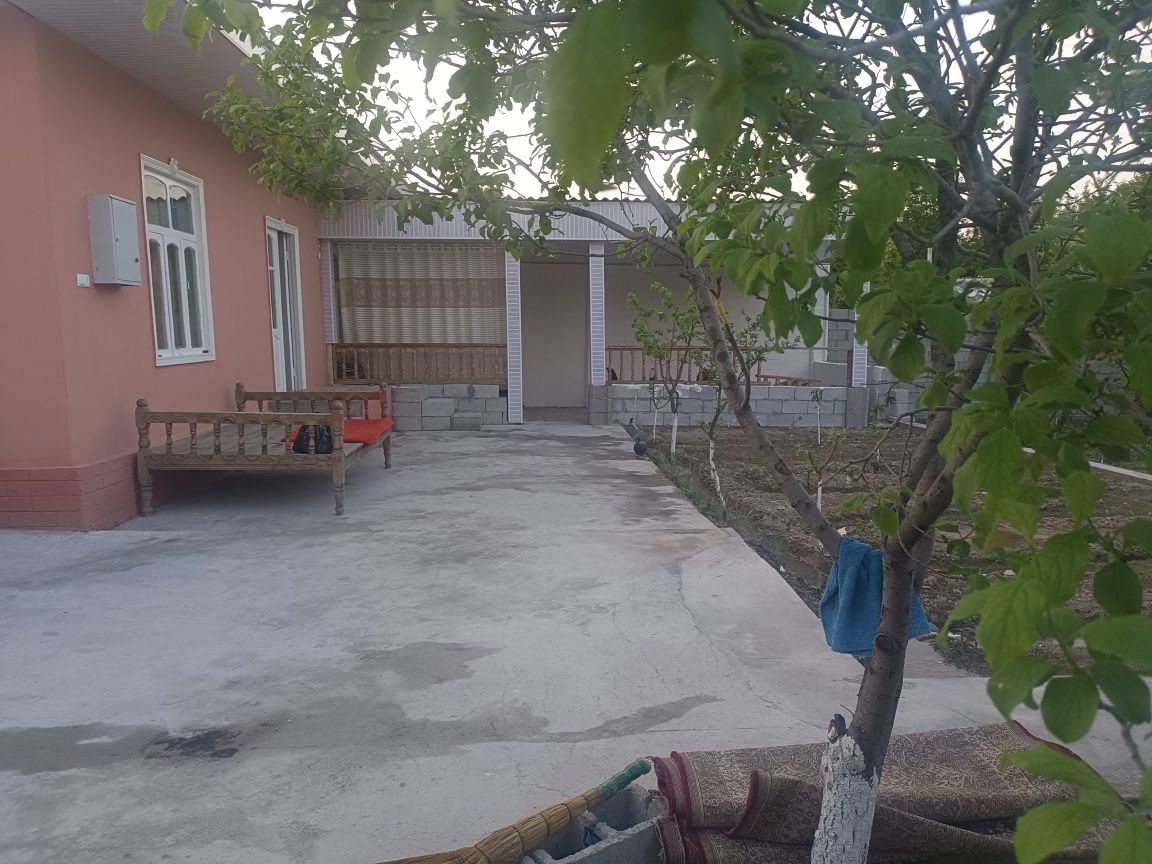 Дала ховли сотилади