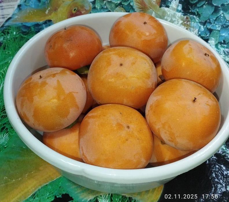 Продается лепешечная хурма