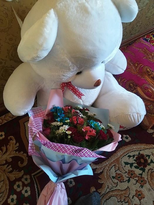 Yangi ayiqlar yumshoqqina