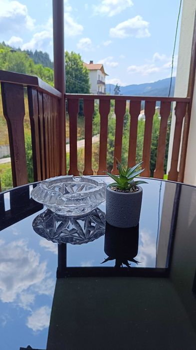 Чепеларе, апартамент, тип студио в къща