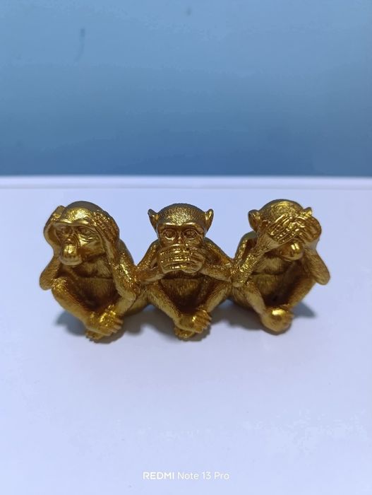 Не знам, не чух , не видях
Материал - полезерин 
Цена 25 лв