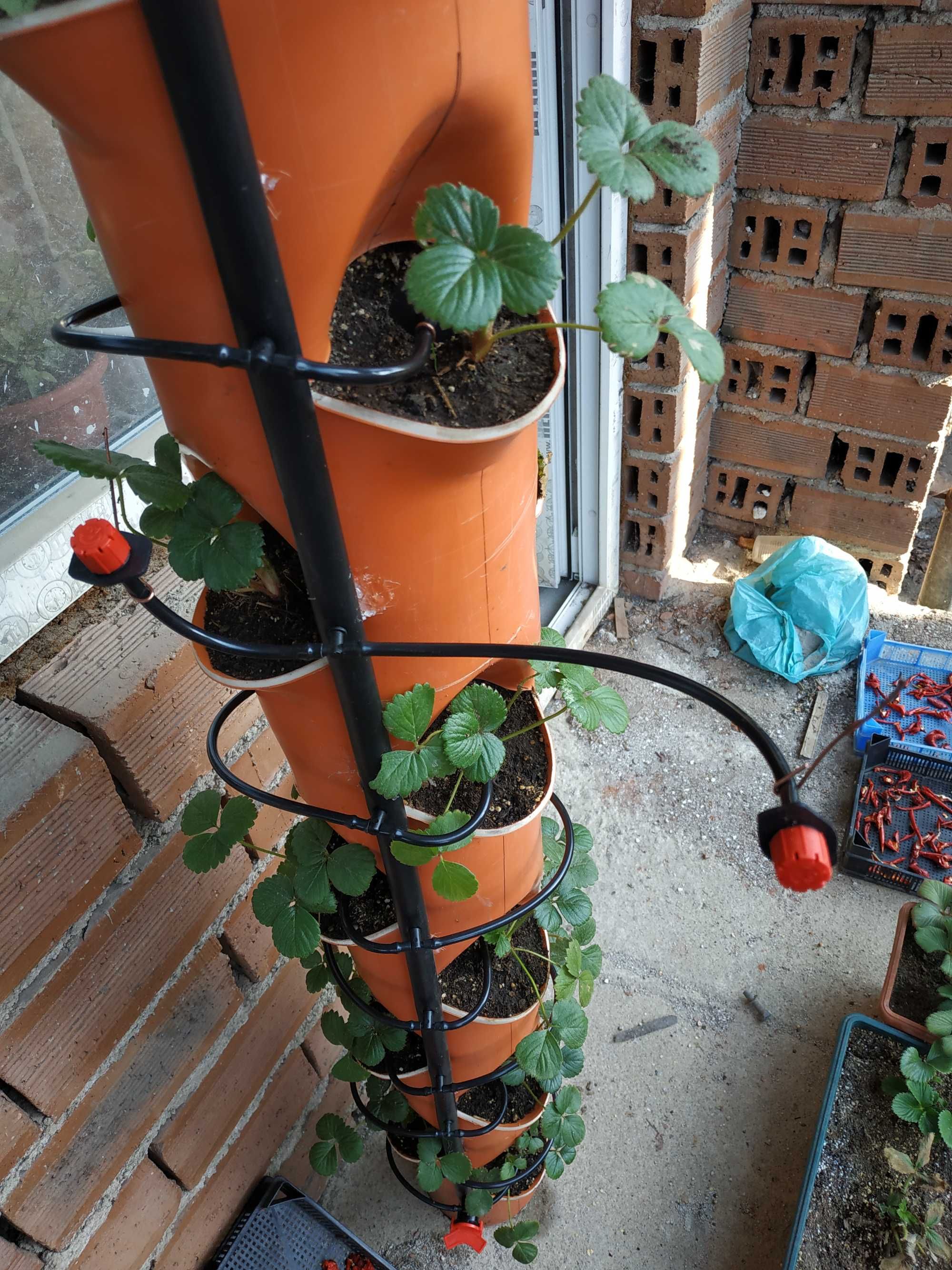 Тръби ( Кули ) за вертикално засаждане ягоди.