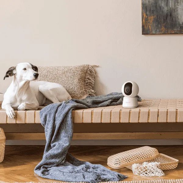 Camera de supraveghere Arenti P2Q1, WIFI, rezolutie 4MP