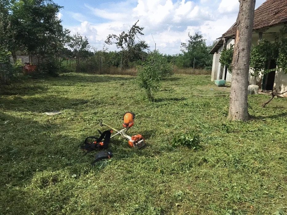 Defrișări/Tăiere Arbori/Lucrari cu Motosapa