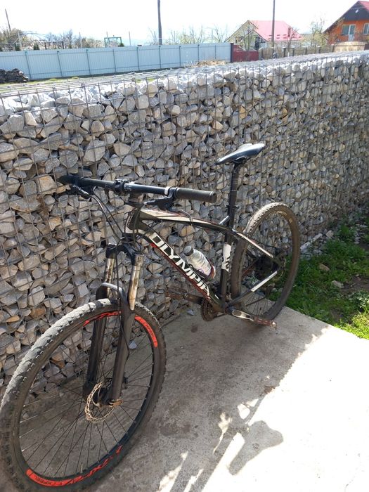 Cobra Olimpia (plata doar la ramburs)