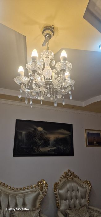 Luste din Germania foarte frumoși și calitatea care sinteti interesați