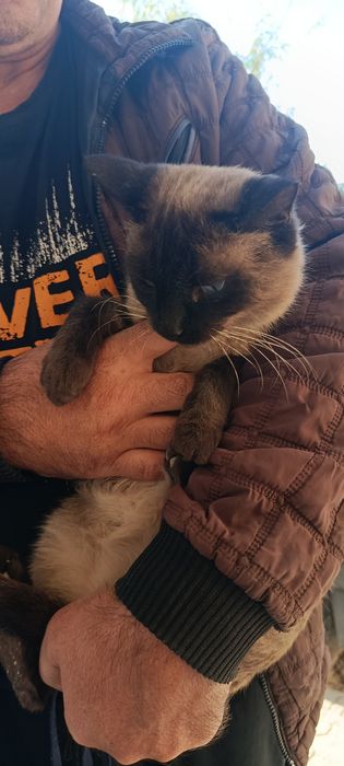 Отдам хорошие руки