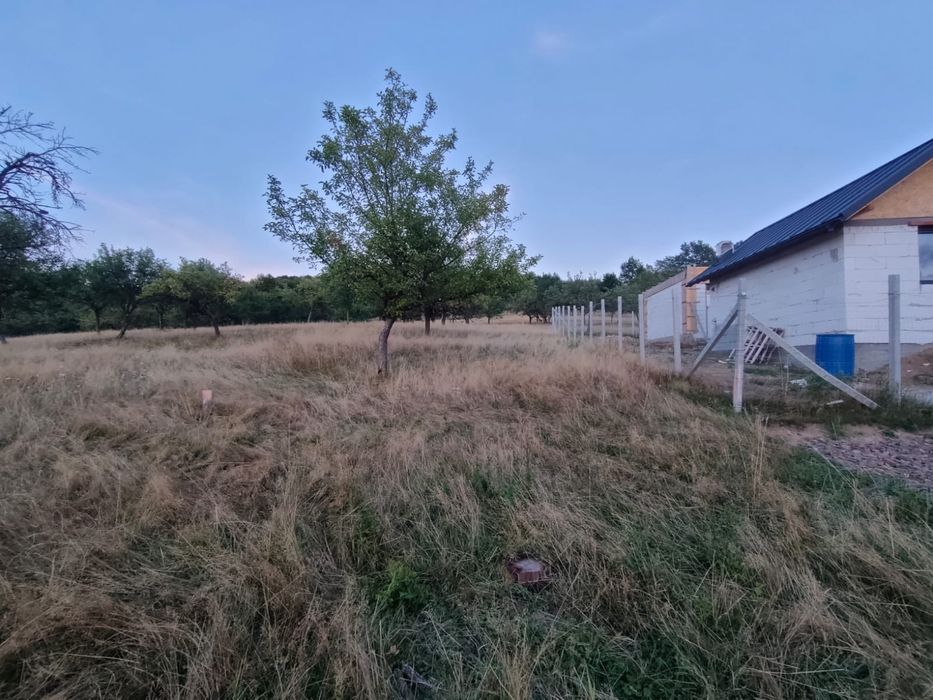 Vand doua terenuri intravilan, construibil in Loc. Baia Sprie