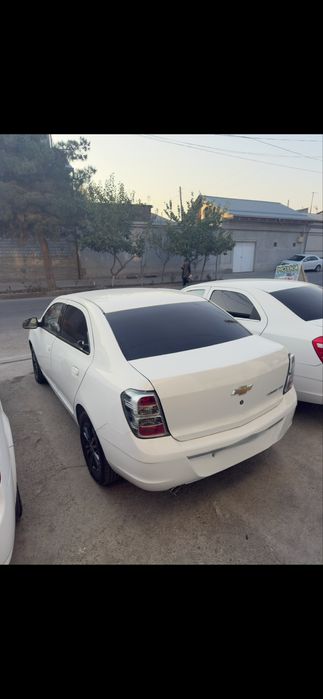 Kobult sotiladi srochno