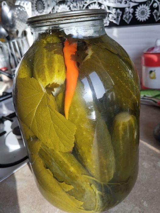 Огурцы солёные 2х и 3х литровый банки