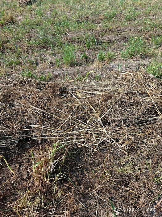 Xashak press sotiladi holati a'lo quruq mol qoʻylarga yaxshi ozuqa