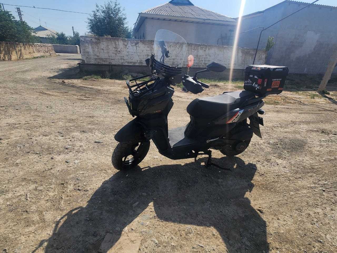 Cavalo tank 2 madel