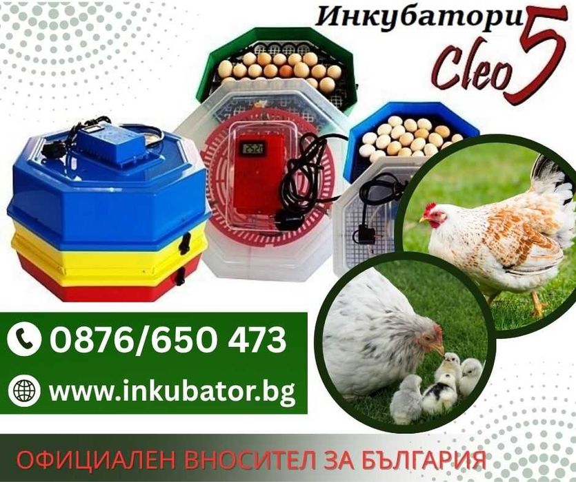 Инкубатори Cleo 5, официален вносител за България