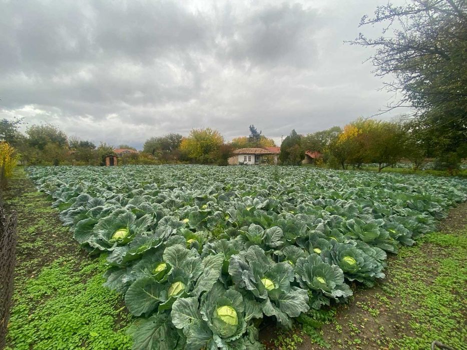 Продава се Къща в Варна, Левски - 100 кв.м за 500 €/кв.м - Снимка #5