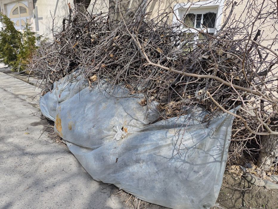 Продаются Дрова.