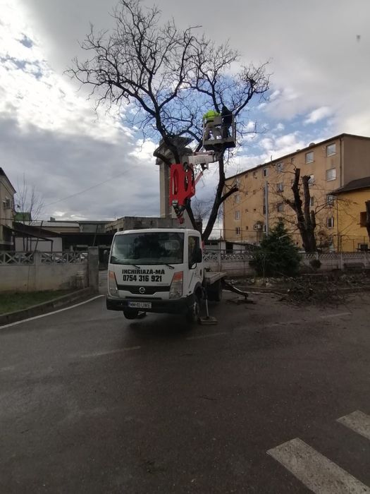 Toaletari arbori , taieri copaci periculosi , defriseri cu Nacela
