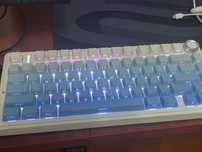 Aula f75 blue light