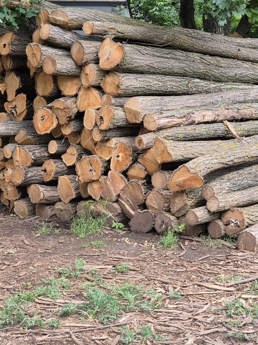 Vind lemn foc salcim tăiate capete