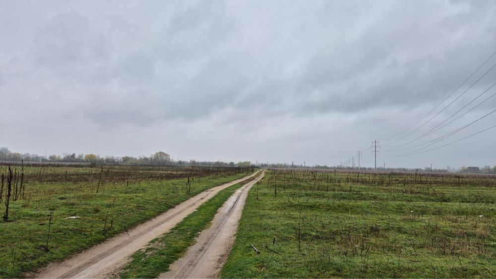 Teren extravilan 15.000 mp - Craiova - zona Cernele/ Izvorul Rece