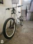 Norco Aline 2010