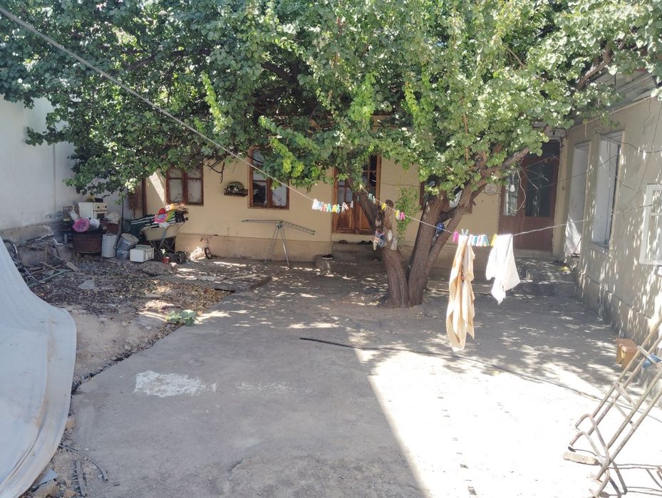 Uchtepa tumani Beshqayragoch mahallasi kota koʻchadan 50 metr kirganda