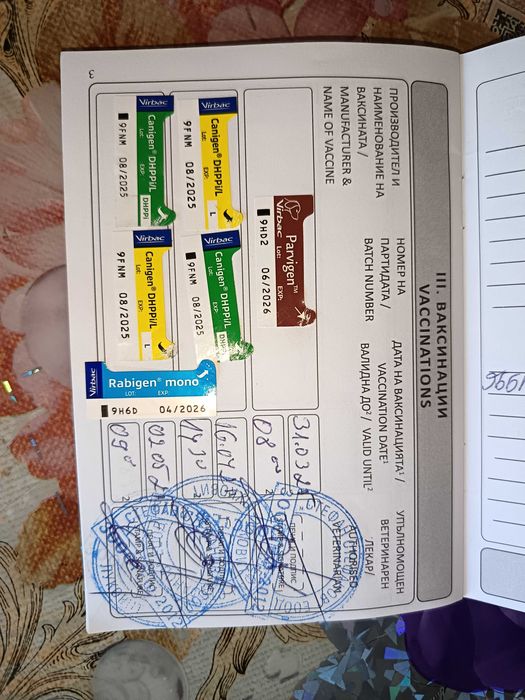 Продава се кавказка овчарка